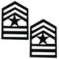 Army Cadet Pin on Rank - Select style