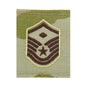 USAF OCP Multicam GORTEX Rank (Hook Back)