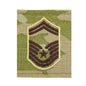USAF OCP Multicam GORTEX Rank (Hook Back)