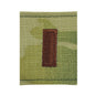 USAF OCP Multicam GORTEX Rank (Hook Back)