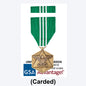 Navy & Marine CIV SVC Commendation
