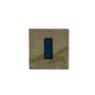 Officer Space Force OCP (Hook Back) Rank